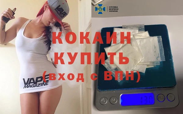 крисы Баксан