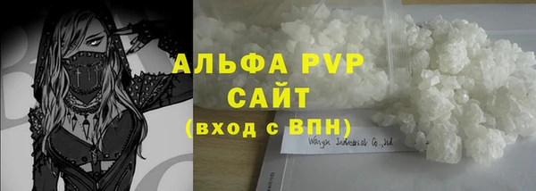 крисы Баксан