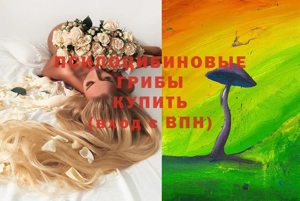 крисы Баксан
